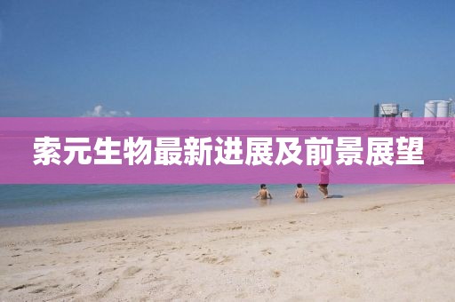 索元生物最新进展及前景展望