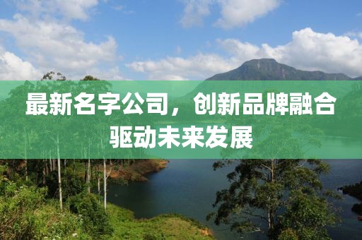 最新名字公司，创新品牌融合驱动未来发展