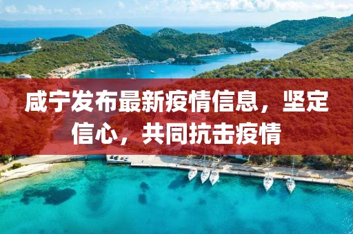 咸宁发布最新疫情信息，坚定信心，共同抗击疫情