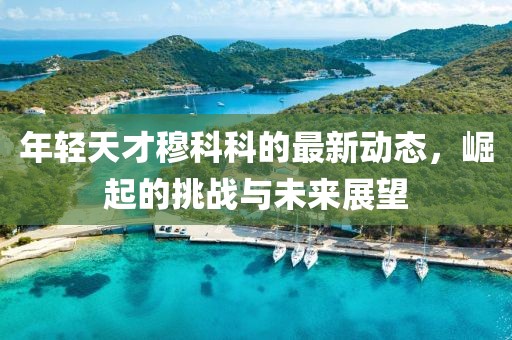 年轻天才穆科科的最新动态，崛起的挑战与未来展望