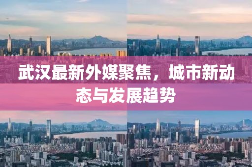 武汉最新外媒聚焦，城市新动态与发展趋势