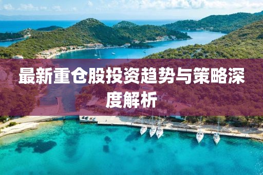 最新重仓股投资趋势与策略深度解析