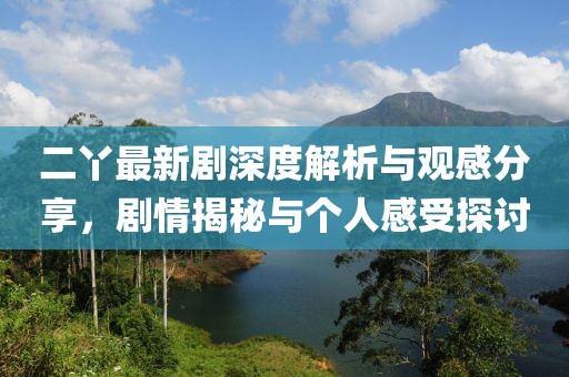 二丫最新剧深度解析与观感分享，剧情揭秘与个人感受探讨