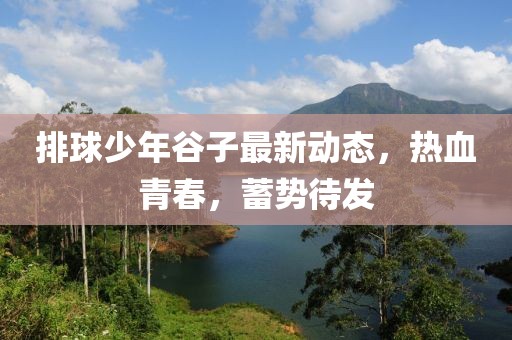 排球少年谷子最新动态，热血青春，蓄势待发
