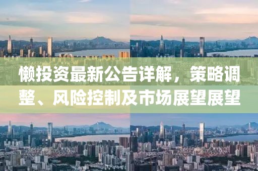 懒投资最新公告详解，策略调整、风险控制及市场展望展望