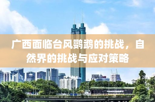 广西面临台风鹦鹉的挑战，自然界的挑战与应对策略