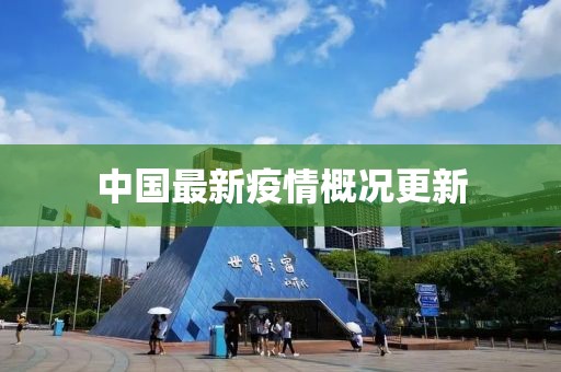 中国最新疫情概况更新