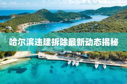 哈尔滨违建拆除最新动态揭秘