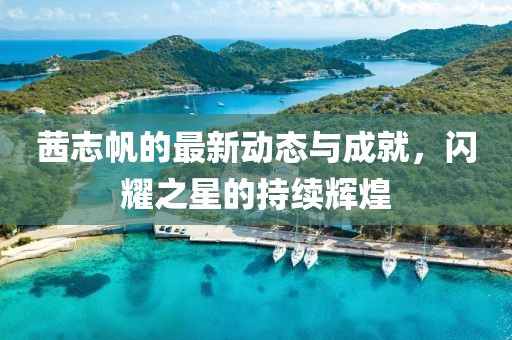 茜志帆的最新动态与成就，闪耀之星的持续辉煌