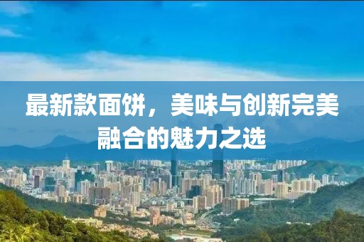 最新款面饼，美味与创新完美融合的魅力之选