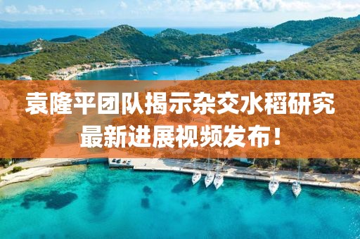 袁隆平团队揭示杂交水稻研究最新进展视频发布！