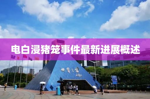 电白浸猪笼事件最新进展概述
