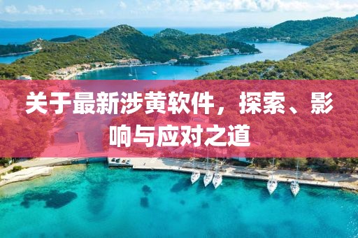 关于最新涉黄软件，探索、影响与应对之道