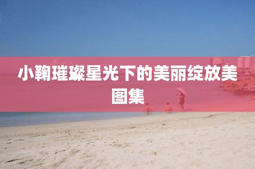 小鞠璀璨星光下的美丽绽放美图集