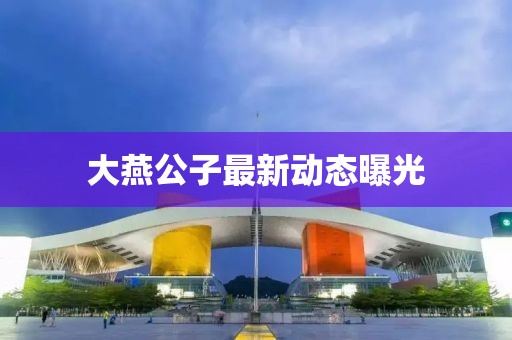 大燕公子最新动态曝光