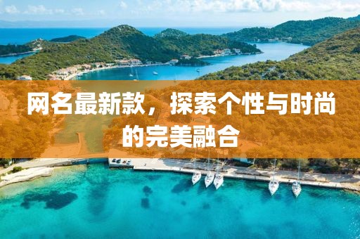 网名最新款，探索个性与时尚的完美融合