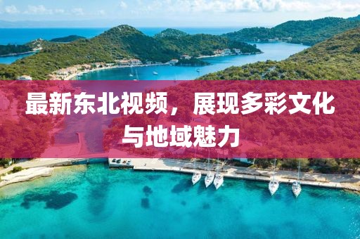 最新东北视频，展现多彩文化与地域魅力