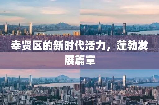 奉贤区的新时代活力，蓬勃发展篇章