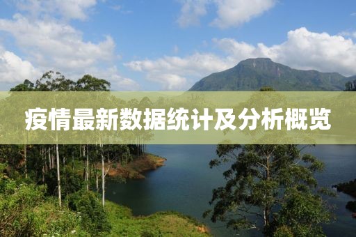 疫情最新数据统计及分析概览
