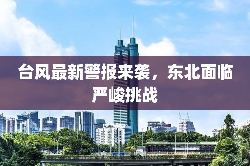台风最新警报来袭，东北面临严峻挑战