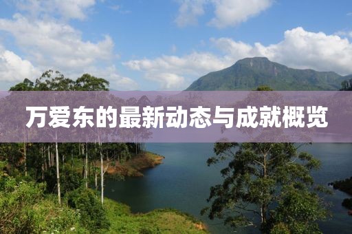 万爱东的最新动态与成就概览