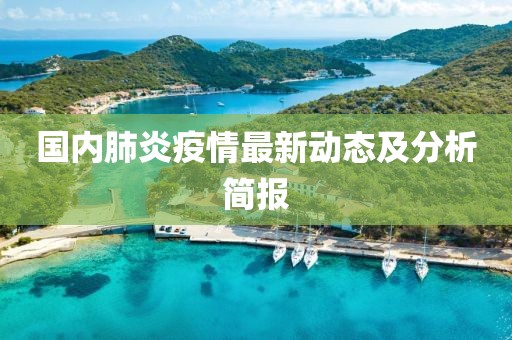 国内肺炎疫情最新动态及分析简报