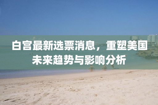 白宫最新选票消息，重塑美国未来趋势与影响分析