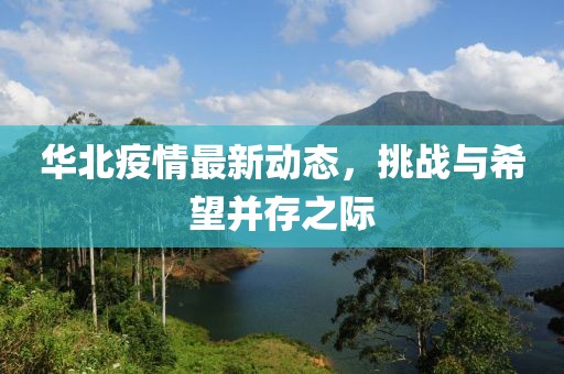 华北疫情最新动态，挑战与希望并存之际