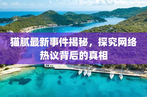 猫腻最新事件揭秘，探究网络热议背后的真相