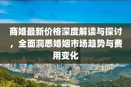 商婚最新价格深度解读与探讨，全面洞悉婚姻市场趋势与费用变化