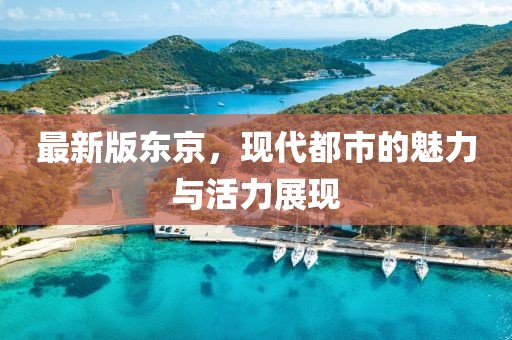 最新版东京，现代都市的魅力与活力展现
