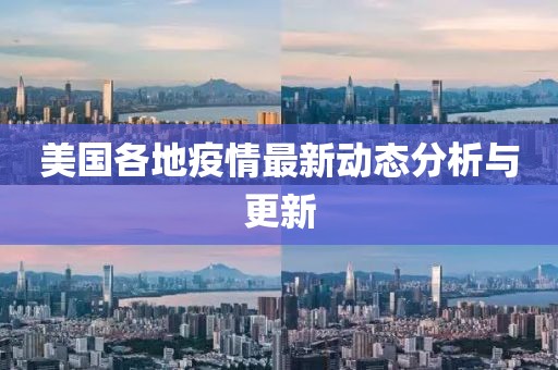 美国各地疫情最新动态分析与更新
