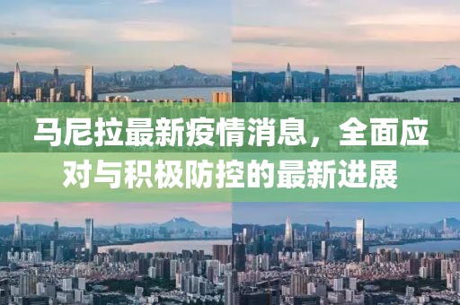 马尼拉最新疫情消息，全面应对与积极防控的最新进展