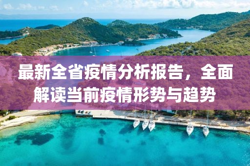 最新全省疫情分析报告，全面解读当前疫情形势与趋势