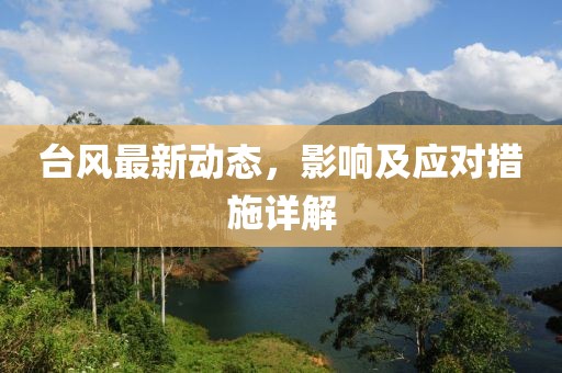 台风最新动态，影响及应对措施详解
