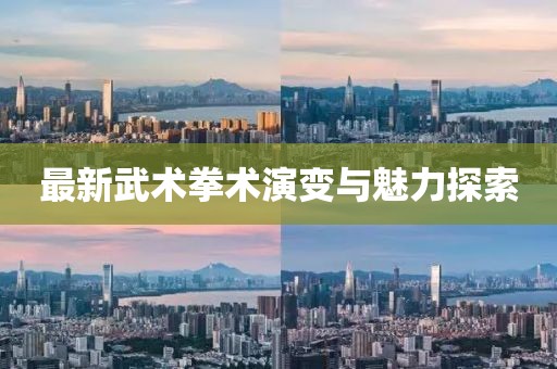 最新武术拳术演变与魅力探索