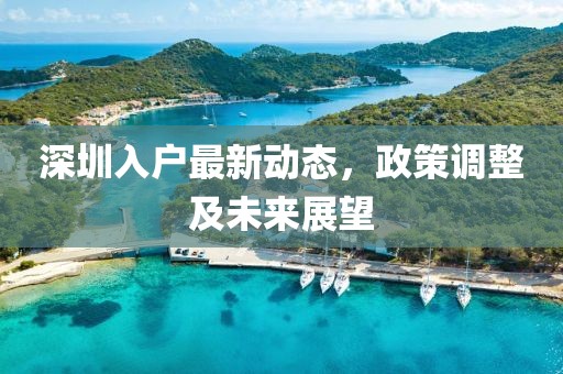 深圳入户最新动态，政策调整及未来展望