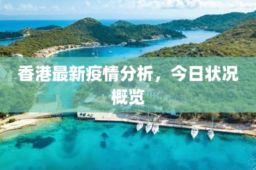 香港最新疫情分析，今日状况概览