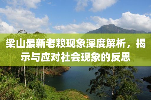 梁山最新老赖现象深度解析，揭示与应对社会现象的反思