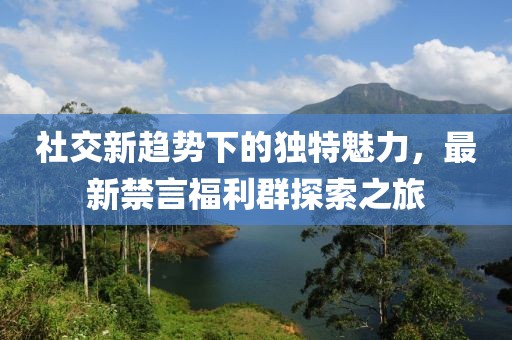 社交新趋势下的独特魅力，最新禁言福利群探索之旅