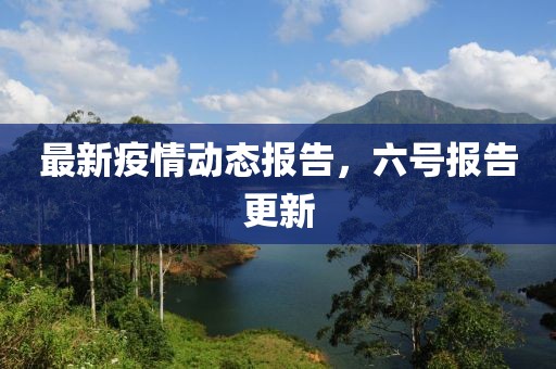 最新疫情动态报告，六号报告更新