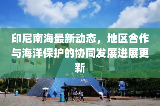 印尼南海最新动态，地区合作与海洋保护的协同发展进展更新