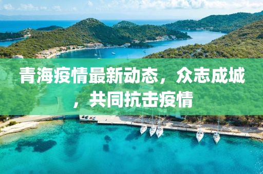 青海疫情最新动态，众志成城，共同抗击疫情