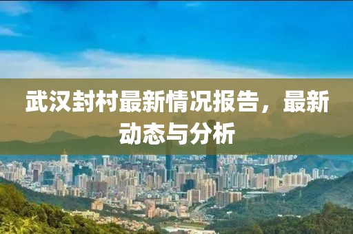 武汉封村最新情况报告，最新动态与分析