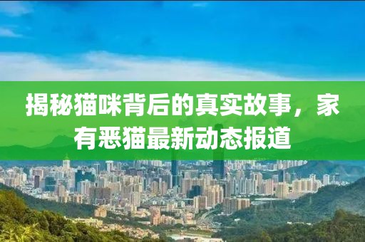 揭秘猫咪背后的真实故事，家有恶猫最新动态报道