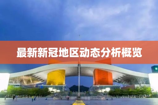 最新新冠地区动态分析概览