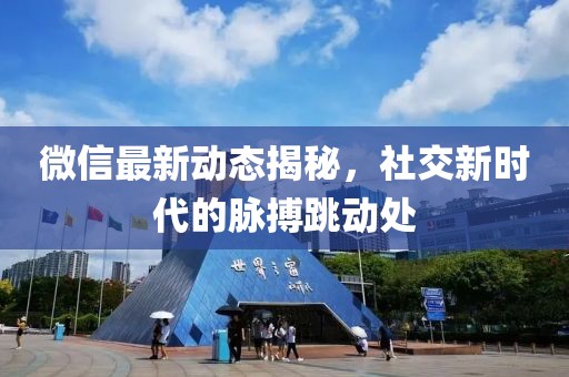 微信最新动态揭秘，社交新时代的脉搏跳动处