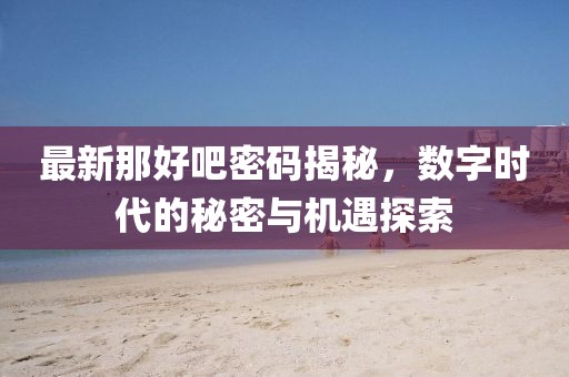 最新那好吧密码揭秘，数字时代的秘密与机遇探索