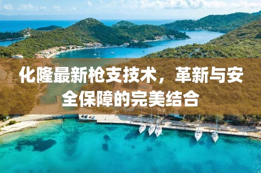 化隆最新枪支技术，革新与安全保障的完美结合