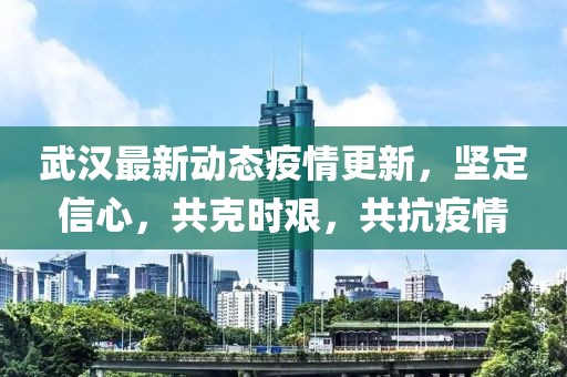 武汉最新动态疫情更新，坚定信心，共克时艰，共抗疫情